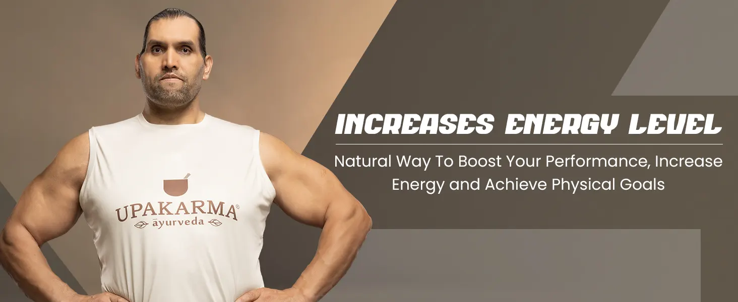 Shilajit Capsule benefits