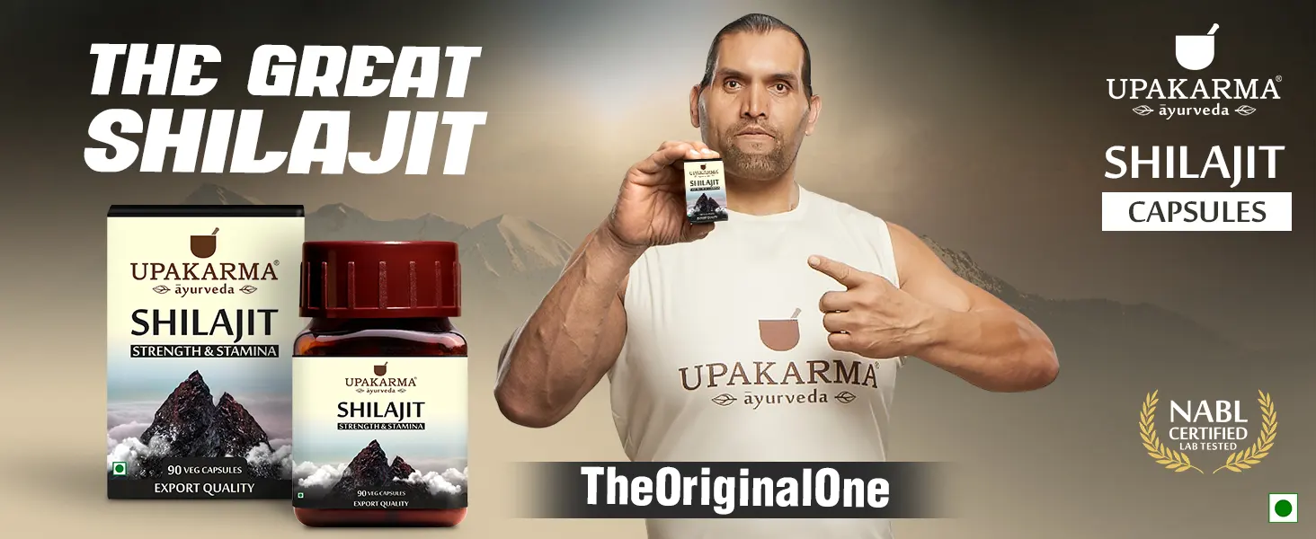 Pure Shilajit Capsule