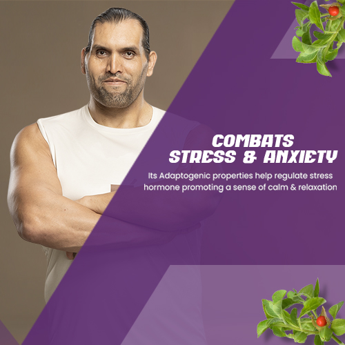 what is benefits of ashwagandha capsule