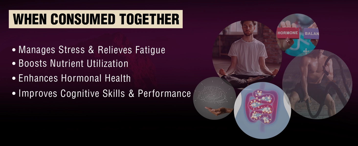 benefits of using shilajit & ashwagandha
