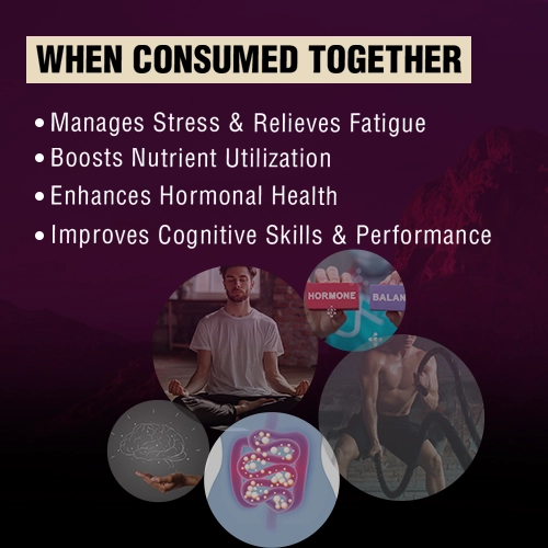 how to use shilajit capsule