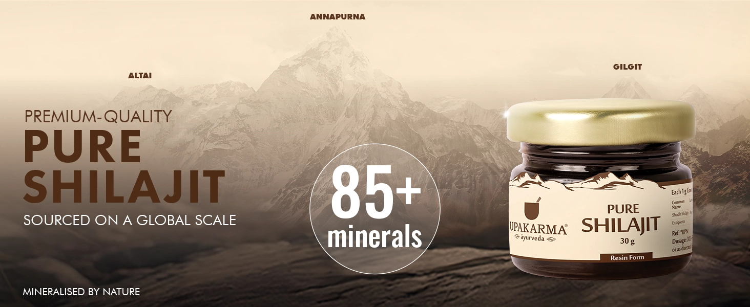 shilajit resin price
