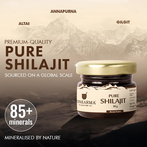 Pure shilajit resin