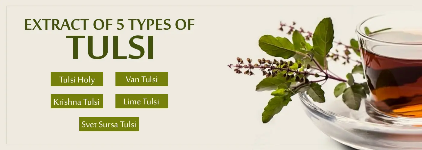 Tulsi Drop Ingredients