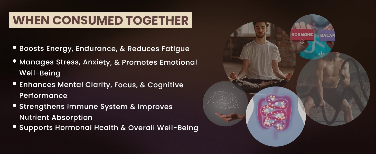 benefits of shilajit and ashwagandha capsule