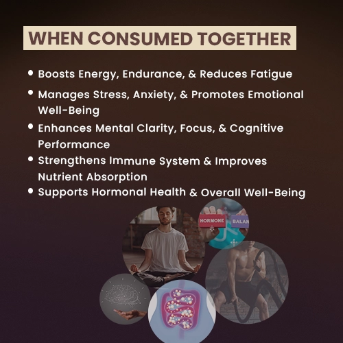 shilajit benefits