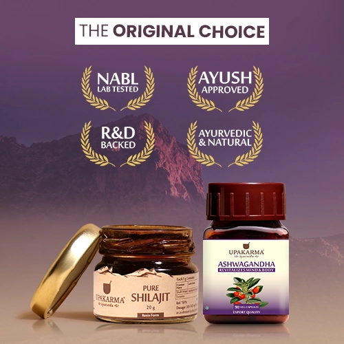 pure shilajit resin price in India