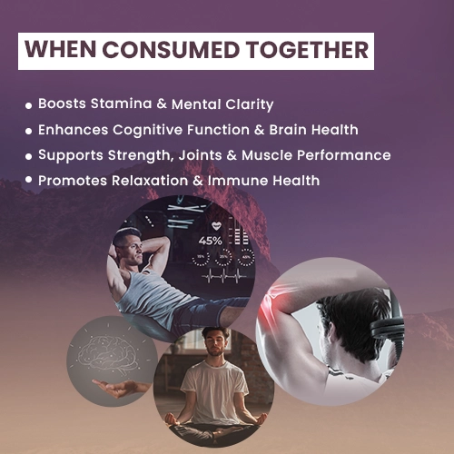 shilajit capsule