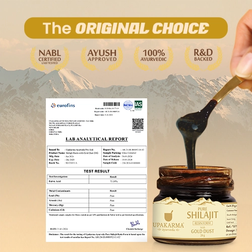 original shilajit resin