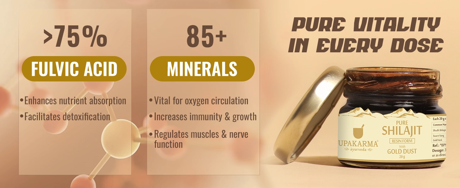 shilajit with gold dust