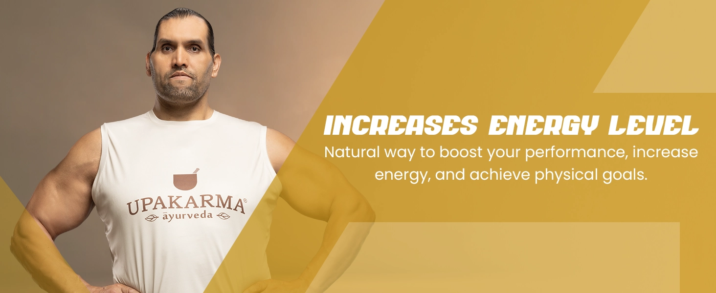 energy booster shilajit
