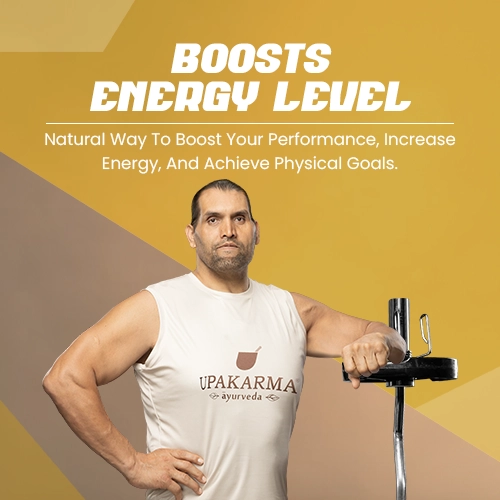 shilajit benefits
