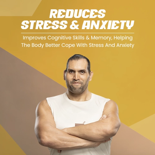 shilajit benefits