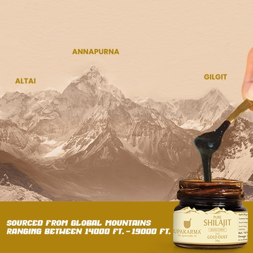 pure shilajit resin