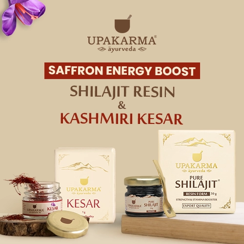 shilajit resin