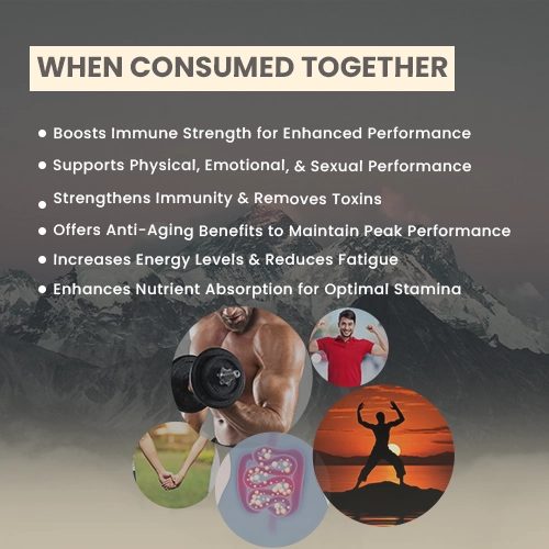 natural shilajit