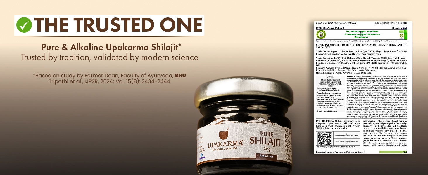 Natural Shilajit Resin