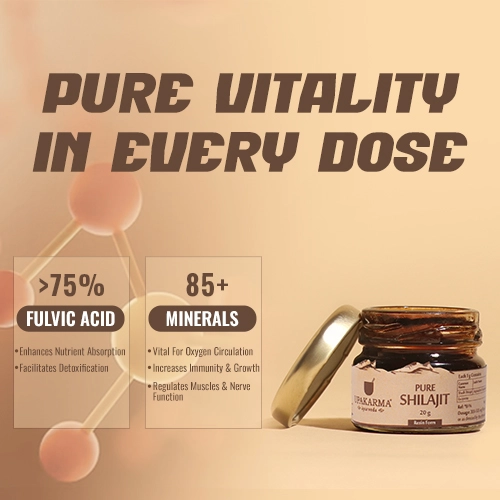 pure shilajit