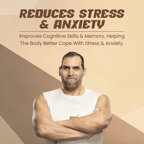 shilajit benefits