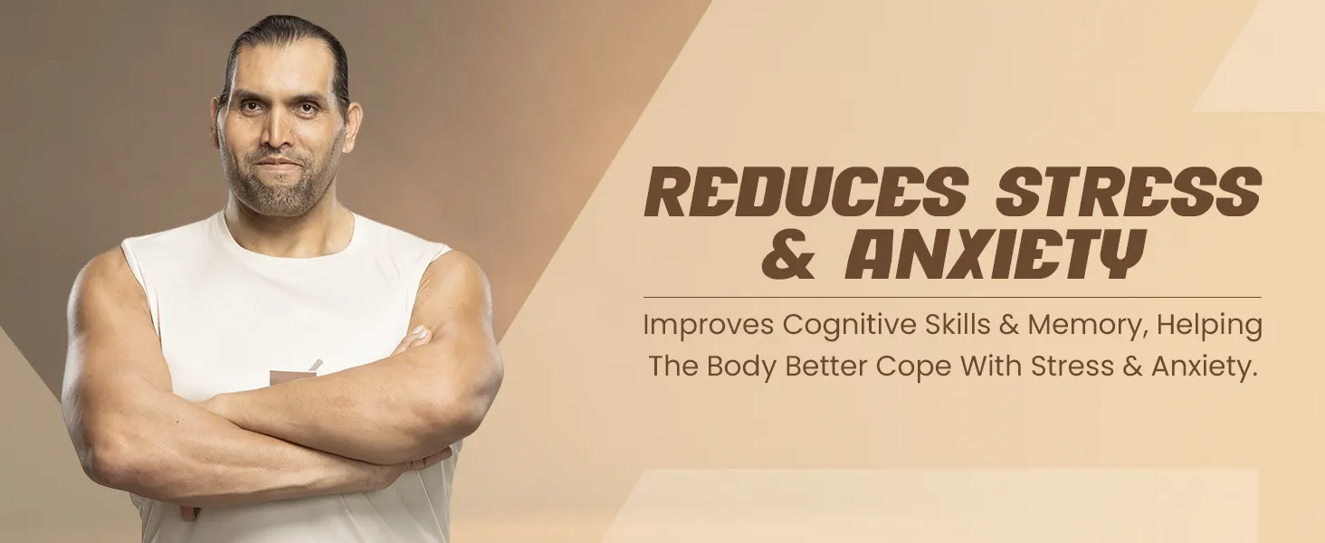 Shilajit benefits