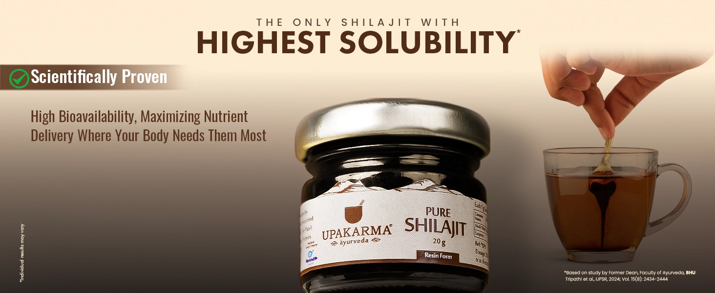 pure shilajit resin