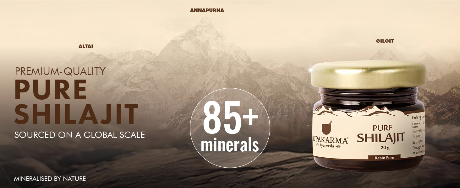 best shilajit brand
