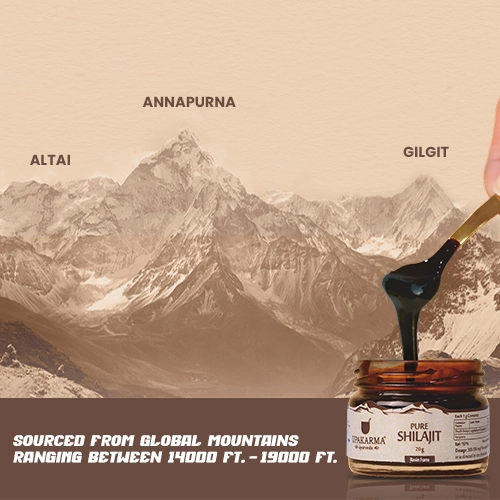 pure shilajit resin