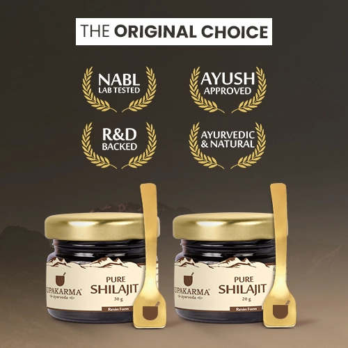 shilajit resin 20g