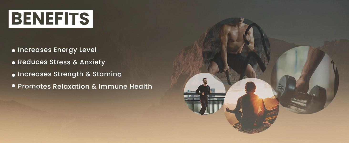 benefits of shilajit