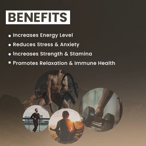 shilajit benefits