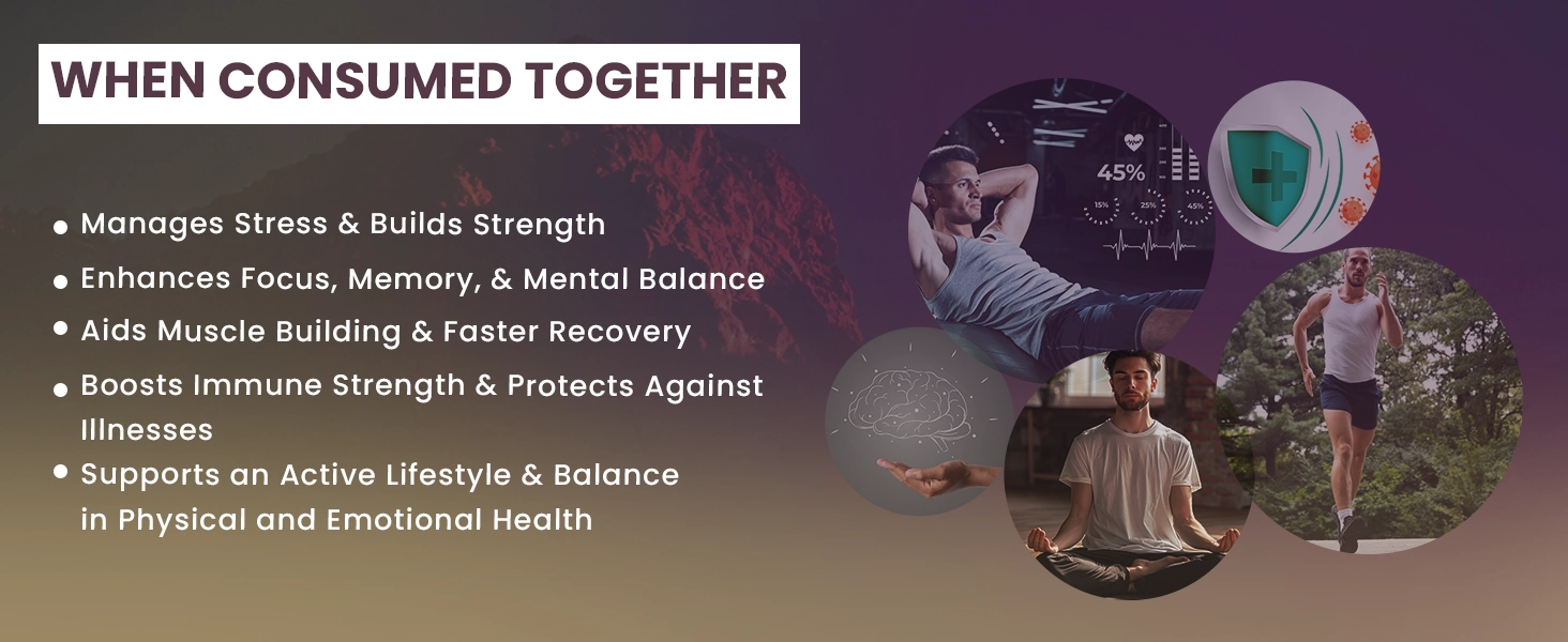 shilajit gold benefits