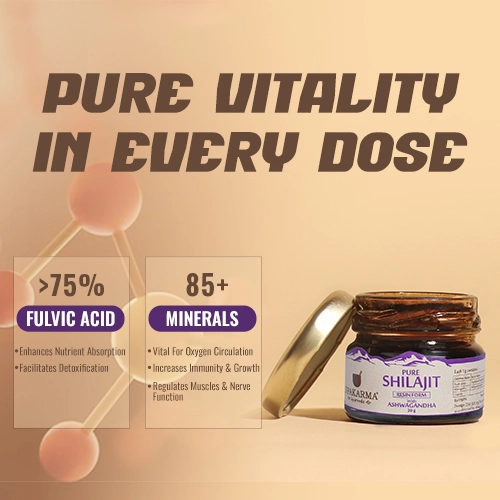 upakarma ayurveda shilajit