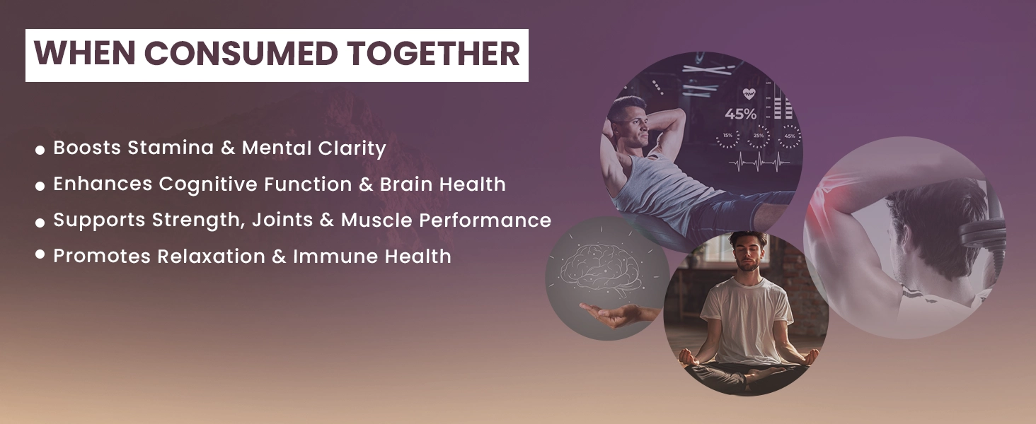 shilajit benefits