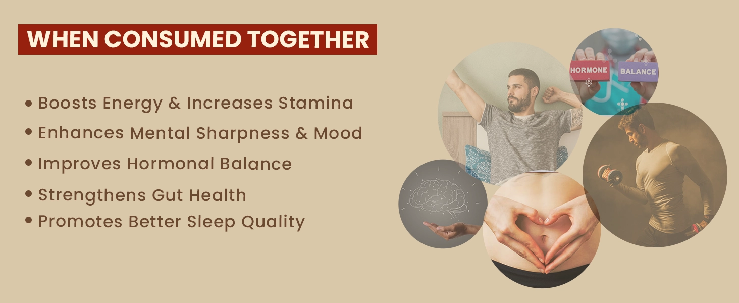 combo pack of shilajit and kesar