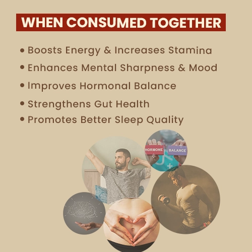 how to consume shilajit