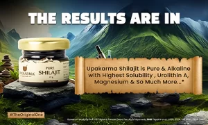 pure shilajit resin