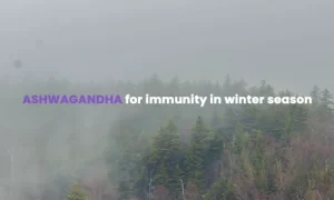 Ashwagandha for Immunity in summer